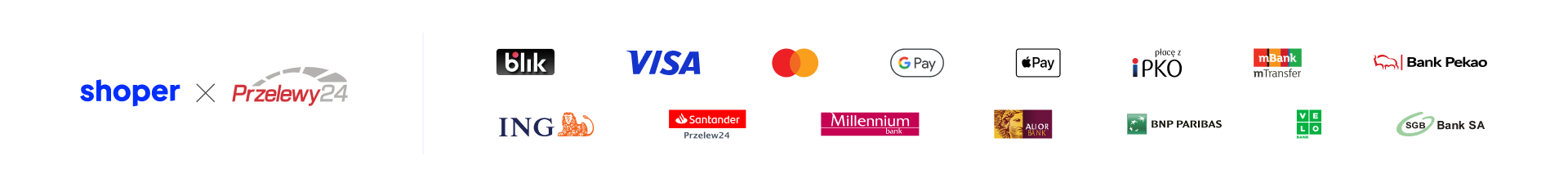 Payment methods Przelewy24